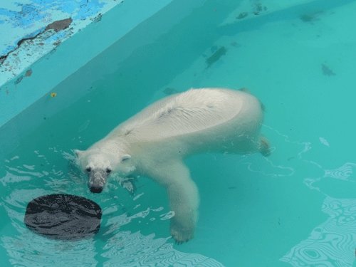 6月27日のスポットガイド