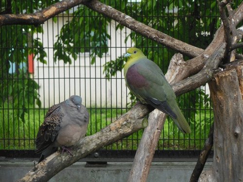 6月28日のスポットガイド