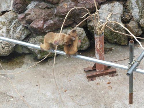 6月29日のスポットガイド