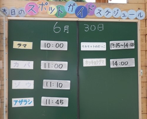 6月30日のスポットガイド
