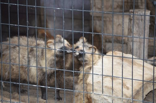 7月5日のスポットガイド
