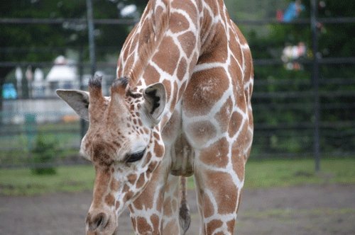 7月6日のスポットガイド