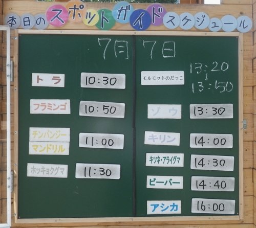 7月7日のスポットガイド
