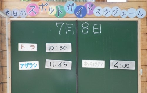 7月8日のスポットガイド