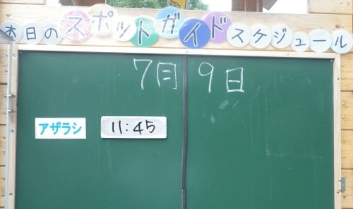 7月9日のスポットガイド