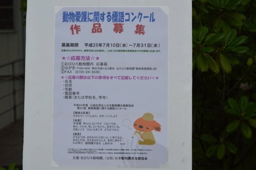 7月10日のスポットガイド