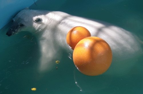 ７月１２日のスポットガイド