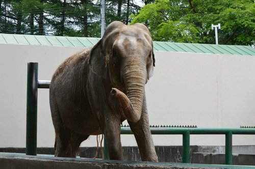 7月13日のスポットガイド