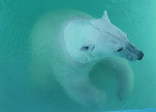 7月15日のスポットガイド