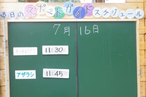 7月16日のスポットガイド