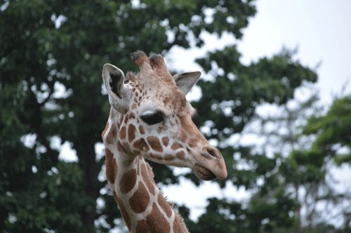 7月18日のスポットガイド