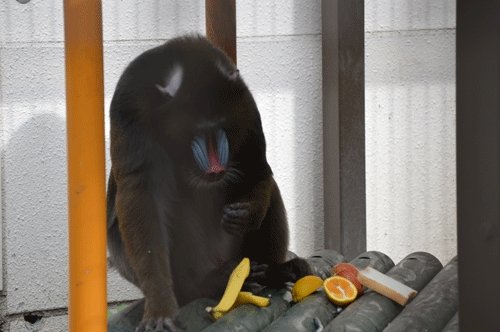 7月19日のスポットガイド