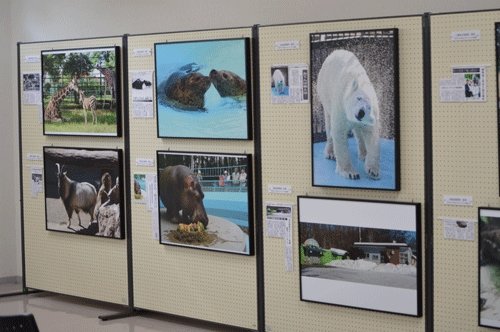 7月20日のスポットガイド