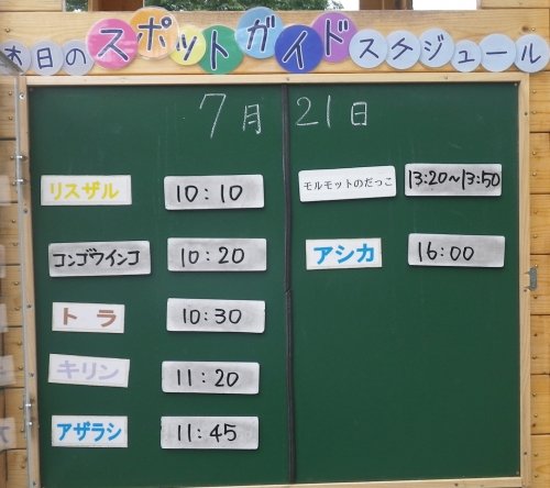 7月21日のスポットガイド