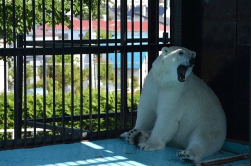 7月24日のスポットガイド