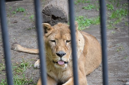 7月25日のスポットガイド