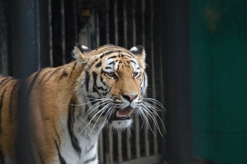 7月26日のスポットガイド