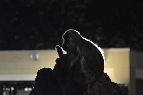 7月31日のスポットガイド
