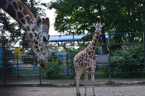 8月2日のスポットガイド