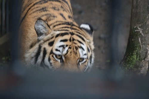 8月6日のスポットガイド