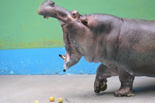 8月7日のスポットガイド