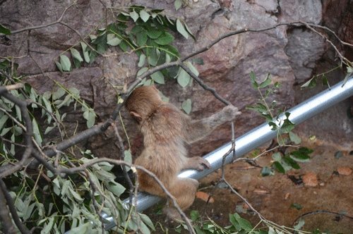 8月10日のスポットガイド