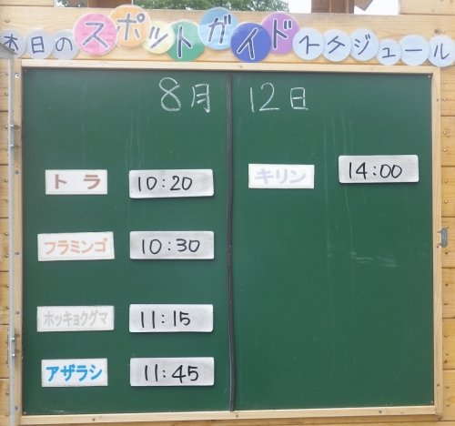 8月12日のスポットガイド
