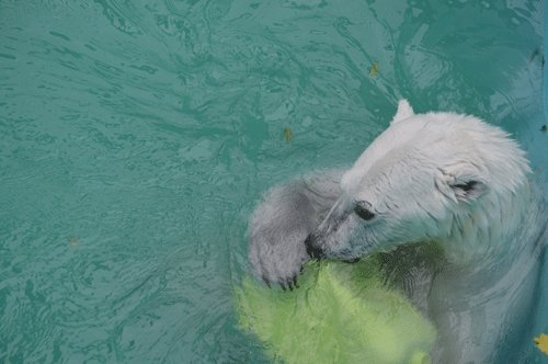 8月14日のスポットガイド
