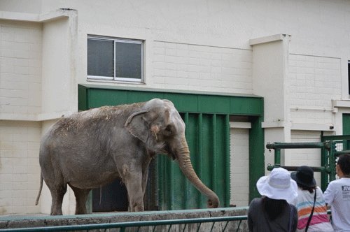8月15日のスポットガイド