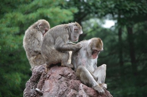 8月16日のスポットガイド