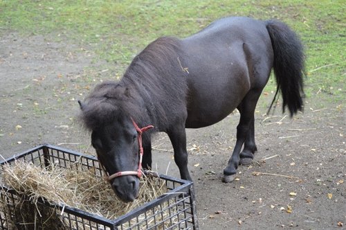 8月17日のスポットガイド