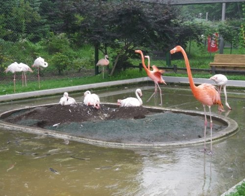 8月18日のスポトガイド