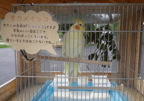 8月19日のスポットガイド