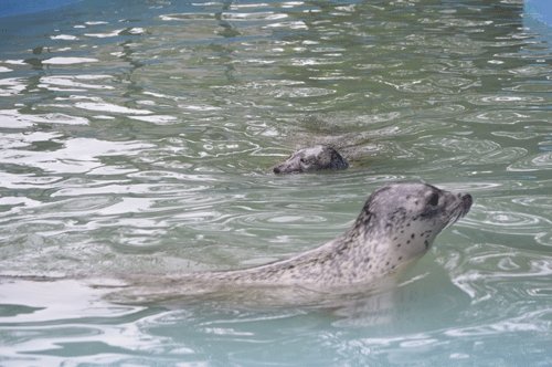 8月20日のスポットガイド