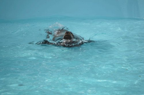 8月21日のスポットガイド