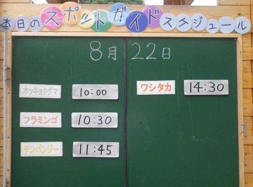 8月22日のスポットガイド