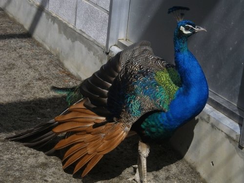 8月26日のスポットガイド