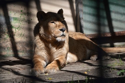 8月28日のスポットガイド