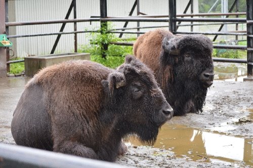 8月30日のスポットガイド