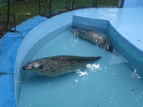 9月2日のスポットガイド