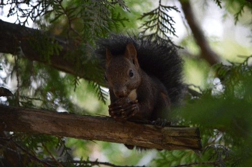 9月3日のスポットガイド