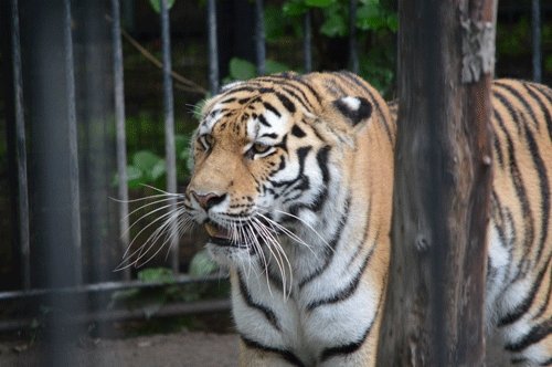 9月4日のスポットガイド