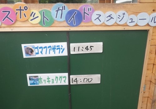 9月11日のスポットガイド