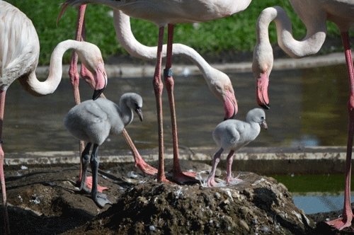 9月13日のスポットガイド