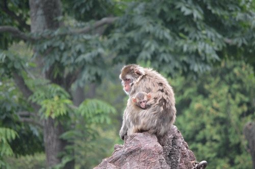 9月14日のスポットガイド
