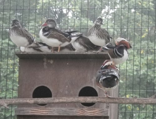 9月15日のスポットガイド