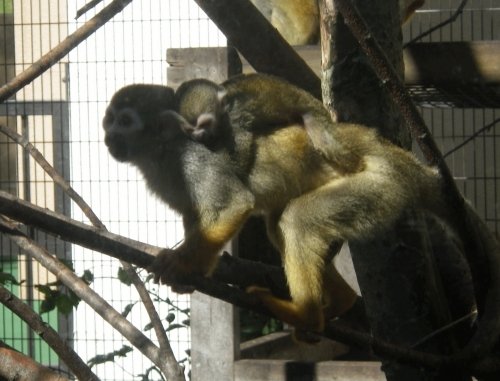 9月17日のスポットガイド