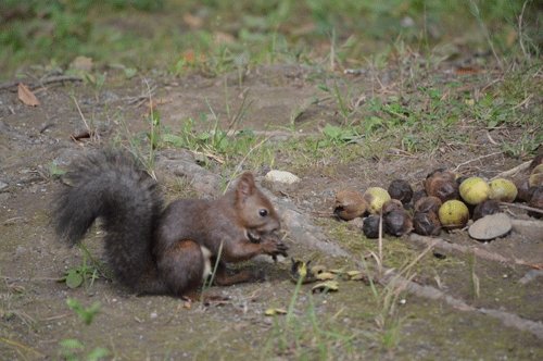 9月20日のスポットガイド