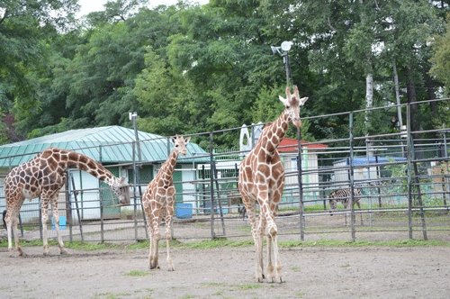 9月21日のスポットガイド