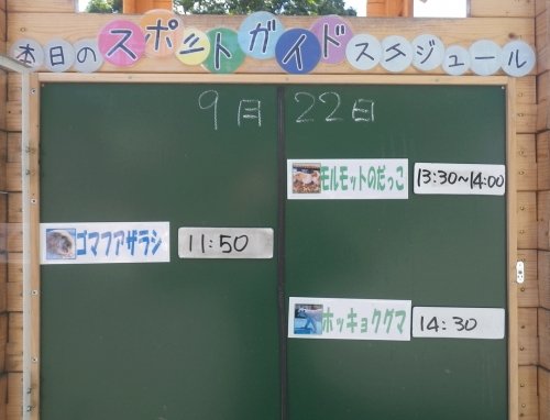 9月22日のスポットガイド